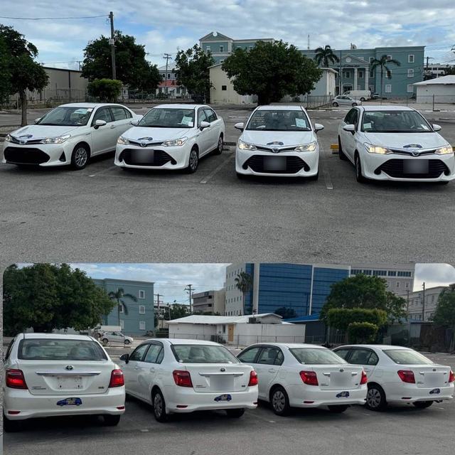 Row of white Toyota Corollas